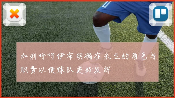 加利呼吁伊布明确在米兰的角色与职责以便球队更好发挥
