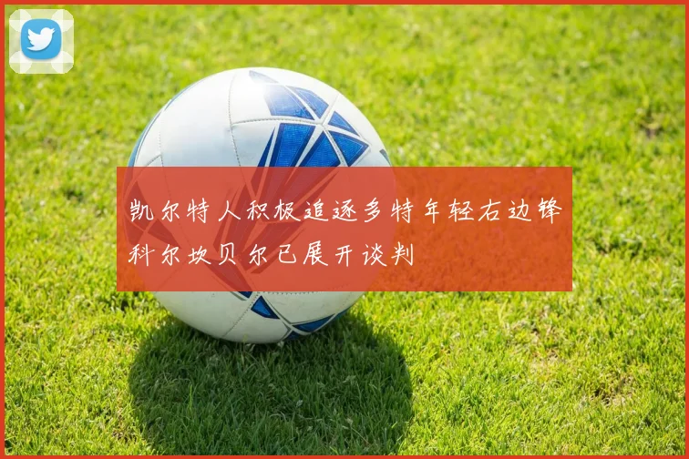 凯尔特人积极追逐多特年轻右边锋科尔坎贝尔已展开谈判