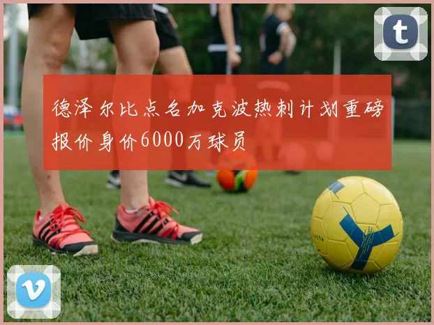 德泽尔比点名加克波热刺计划重磅报价身价6000万球员